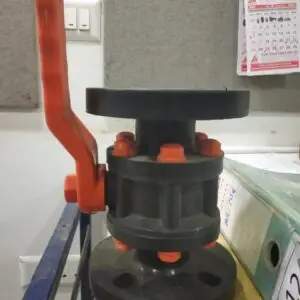 Home wheat from organic farms